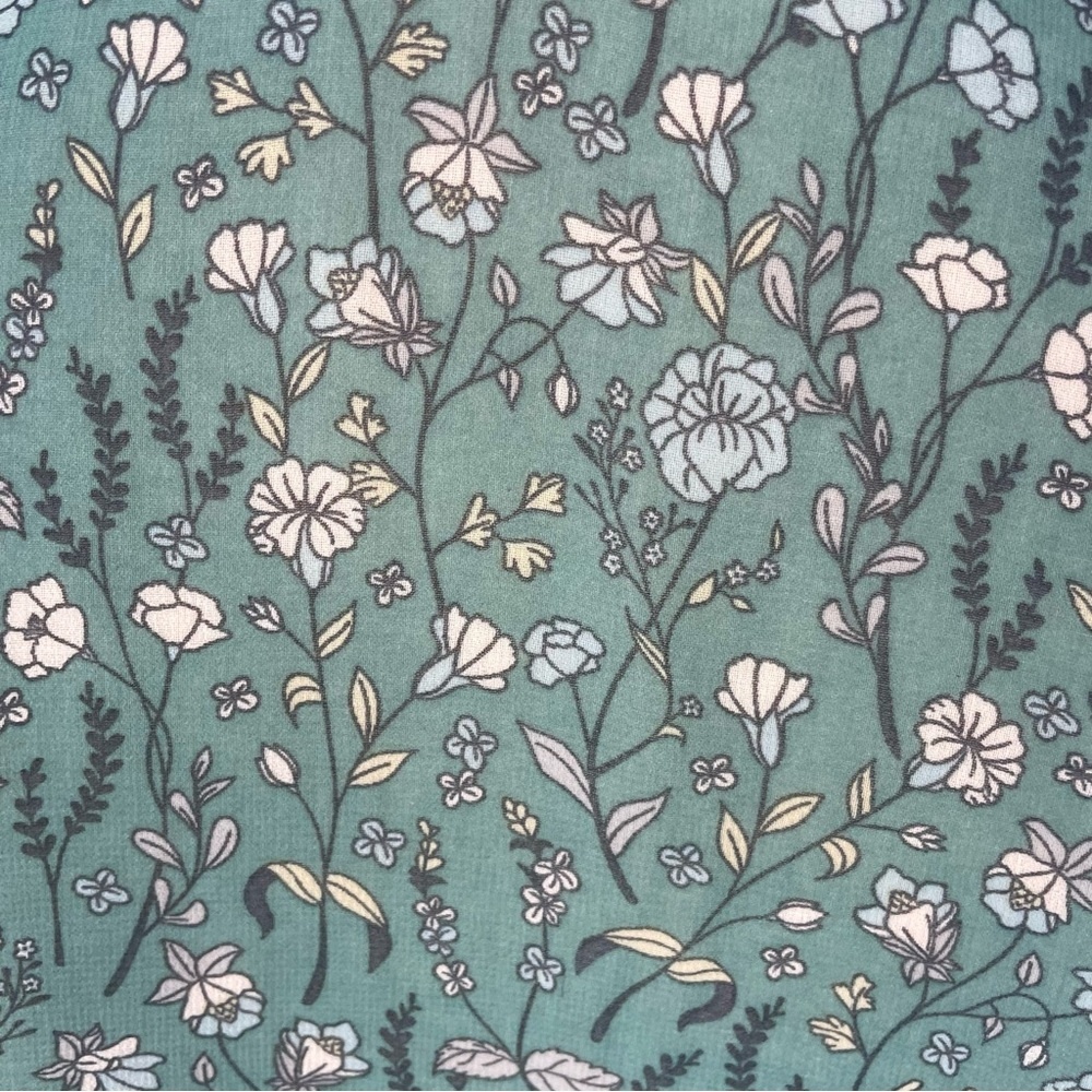 CAbi 3761 Kate Chase Field of Flowers Blouse Size XXS Blue Green‎ Floral Sheer - Picture 4 of 10